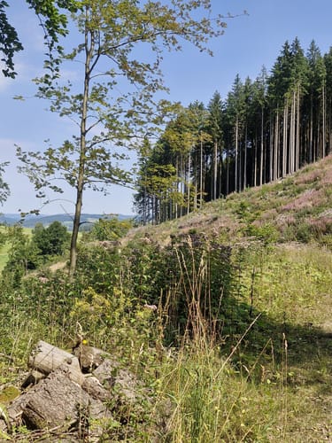 Rund um den Beerenberg