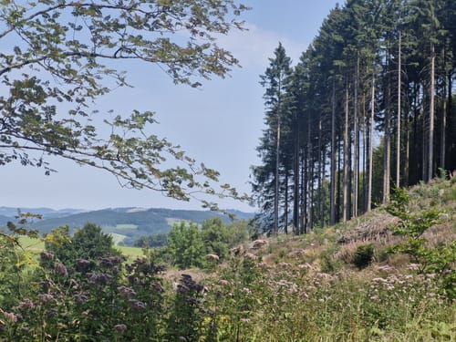 Rund um den Beerenberg