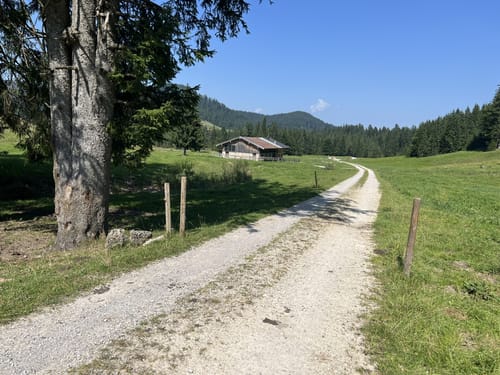 MTB: Zwischen Lenggries und Gschwendt