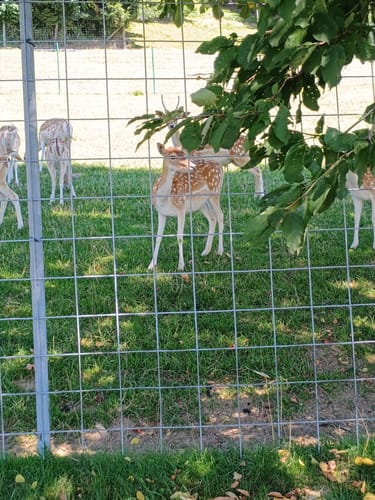 Biken und Radfahren in Waldkirchen: Familientour 2