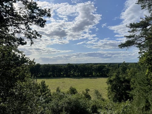 Galgenvenn (Premiumwanderweg)