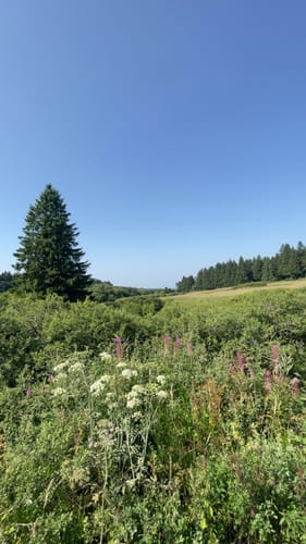 Höhenrundweg (Premiumwanderweg)