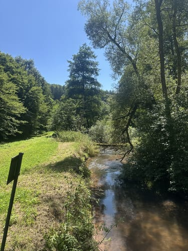Maßweilerer Keltenpfad