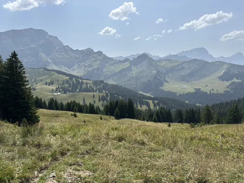 Carte Postale Ancienne – Lac De Chavonnes, Ormont-Dessous, Montagne Suisse, Canton De Vaud (t.b.état)