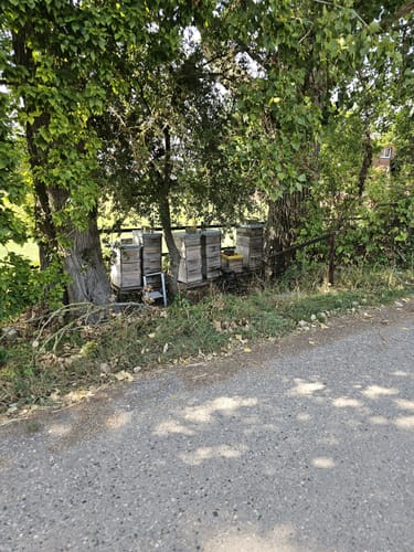 Von Meerbusch entlang dem Rhein