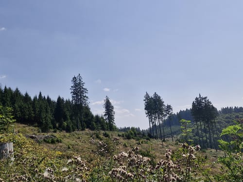 Bad Fredeburg und Zwergberg