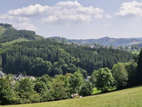 Bad Fredeburg und Zwergberg