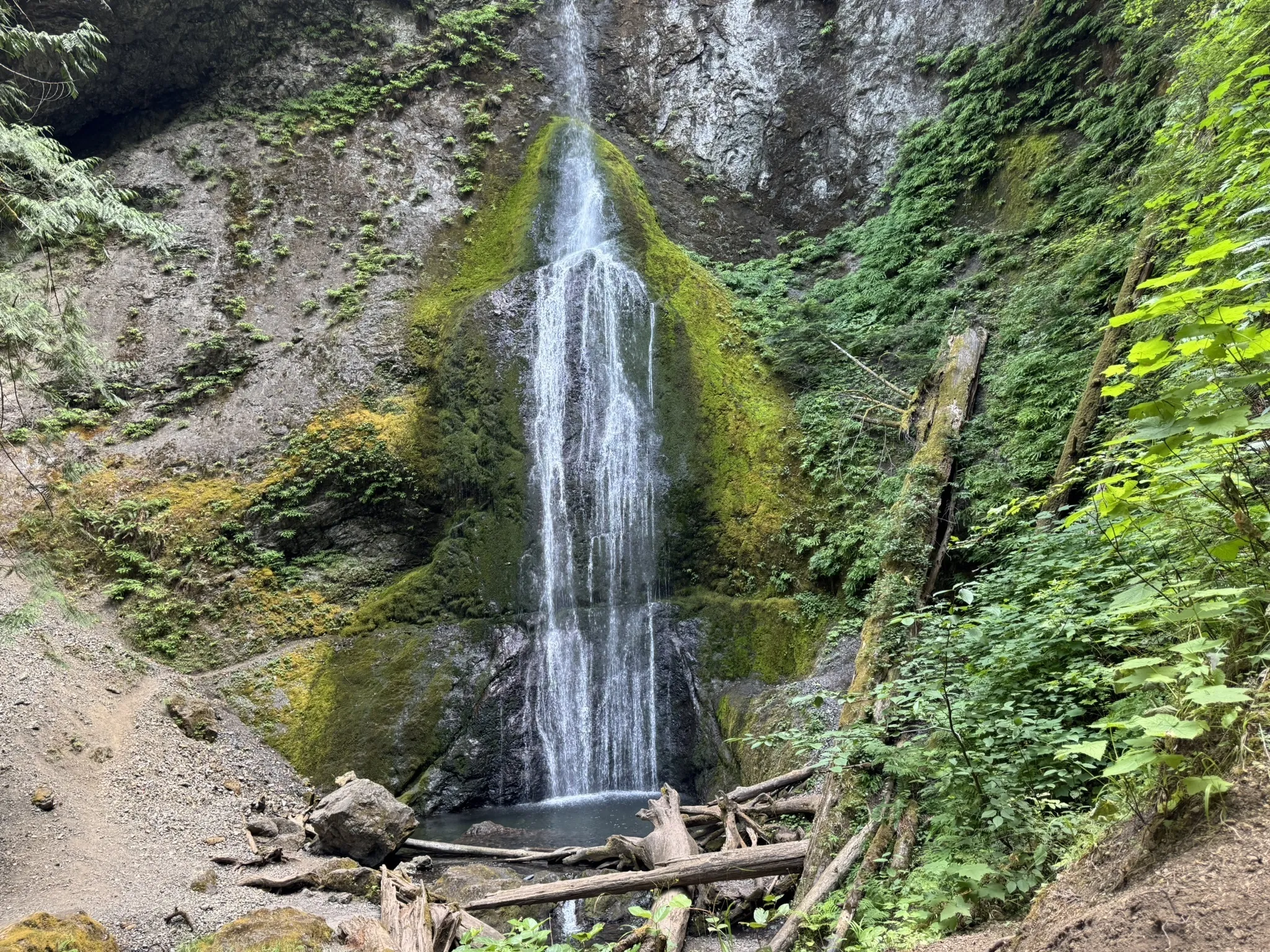 Marymere Falls Trail