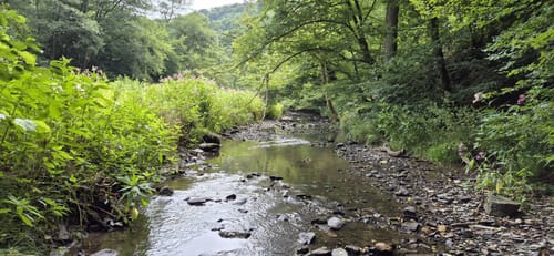 Schieferhöhlen Runde - Geierlay