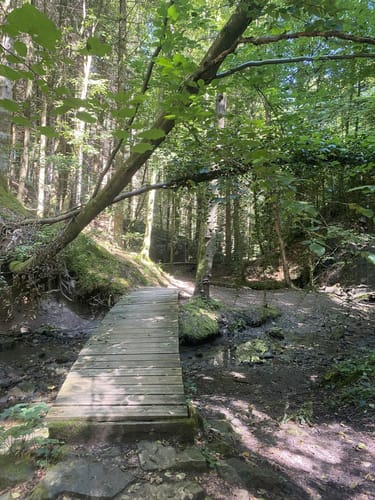 Hörschbachwasserfälle