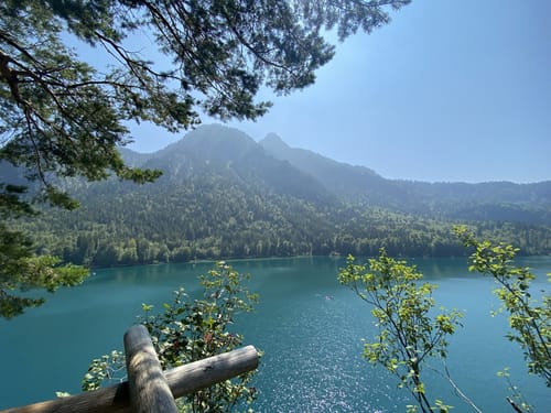 Alpsee Rundweg