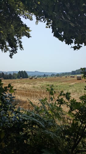 Himmels Gääs Paad (Traumschleife)