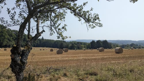 Himmels Gääs Paad (Traumschleife)