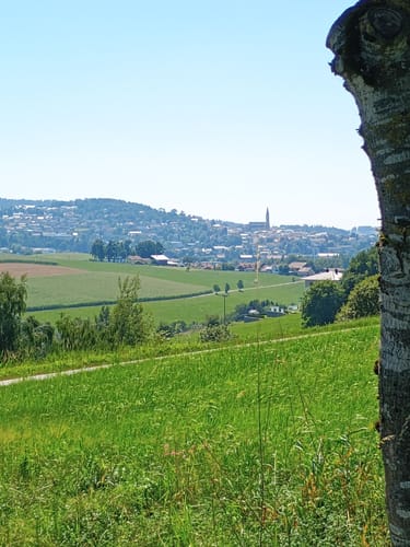 Biken und Radfahren in Waldkirchen: Familientour 2