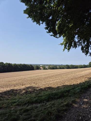 Quellweg (Steinhagen)