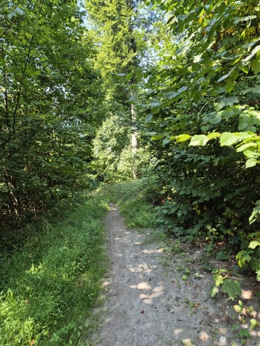 Quellweg (Steinhagen)