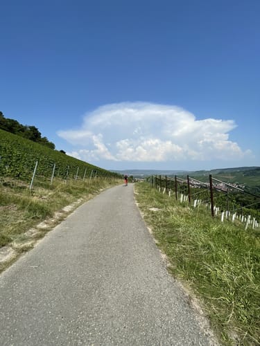Wengerterhäusle "Dichterblick"