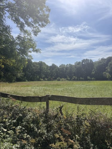 Haus Horst Rundweg A6