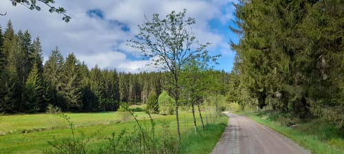 Schönheide - Rautenkranz - Grünheide