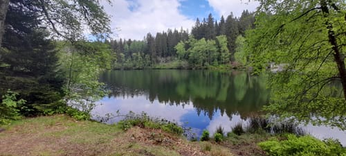 Schönheide - Rautenkranz - Grünheide