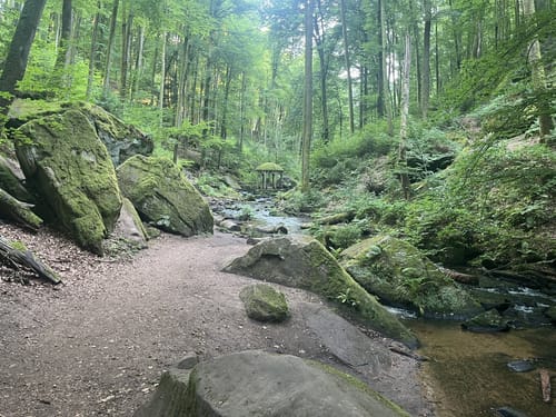 Trippstadt - Burg Wilenstein -Karlstalschlucht