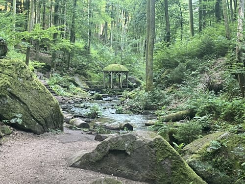 Trippstadt - Burg Wilenstein -Karlstalschlucht
