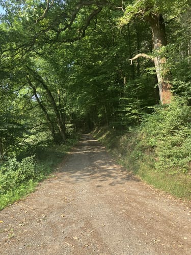 WesterwaldSteig Etappe 15: Strauscheid - Waldbreitbach