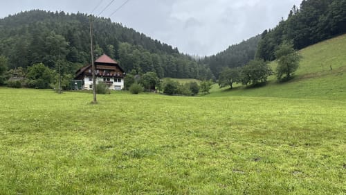 Runde bei Hornberg