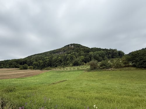 Panoramaweg Happburger Stausee