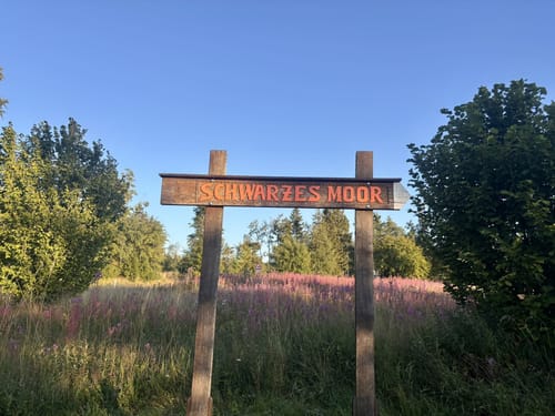 Naturlehrpfad Schwarzes Moor
