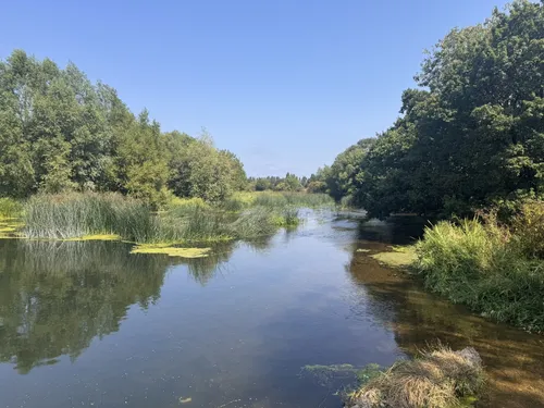 Millhams Mead Circular, Dorset, England - 7 Reviews, Map | AllTrails