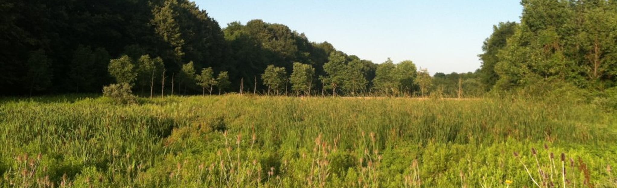 AllTrails Springdale Farm Trail and Creek Trail Loop 59 Reviews, Map