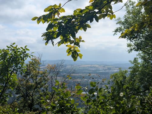 Im NSG Wittekindsberg bei Porta Westfalica