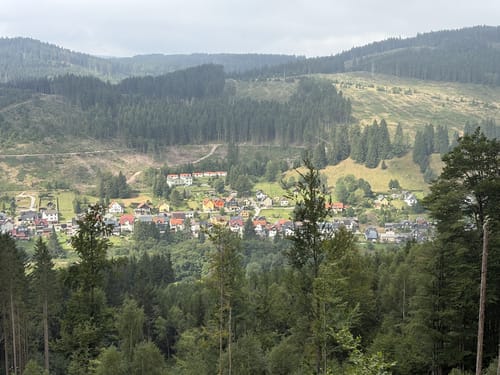 Rund um Hammerberg und Hohe Schlaufe