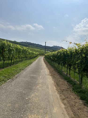 Durbacher Weitblick (Premiumwanderweg)