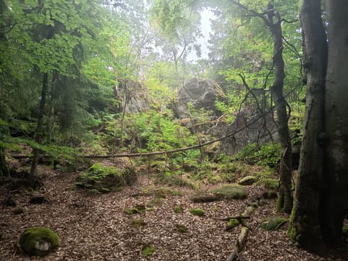 Waldhauser Runde