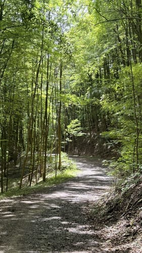 Dreienberg (Extratour)