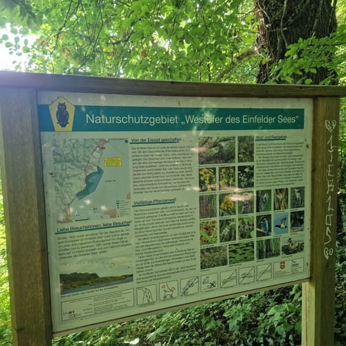 Rundwanderweg Einfelder See