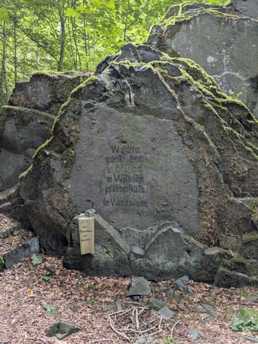 Hoher Meißner P1 (Premiumwanderweg)