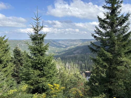 Seebach - Wildsee-Erlebnistour