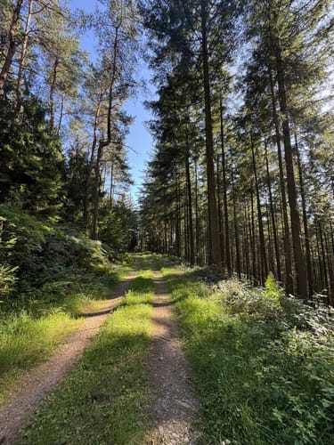 Naurath Rundweg