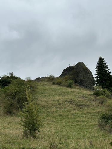 Panoramalauf am Hohen Dörnberg (Mittelstrecke)