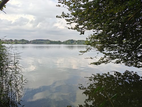 Rund um den Seehamer See