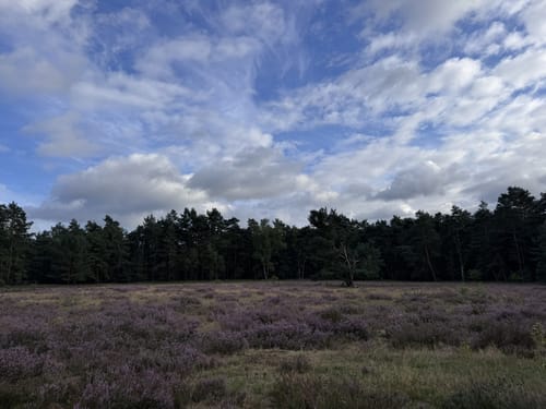 Ems-Erlebnisweg