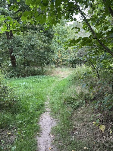 Panoramalauf am Hohen Dörnberg (Mittelstrecke)