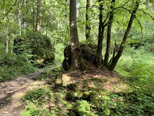 Rundwanderweg Pottenstein