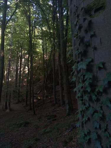 Höhenglück und Norissteig