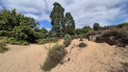 Wahner Heide - Burg Wissem