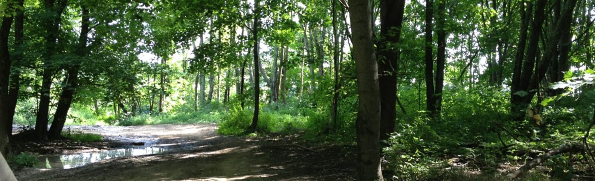 Indian Ridge Hatfield McCoy Trails 10 Photos VirginieOccidentale