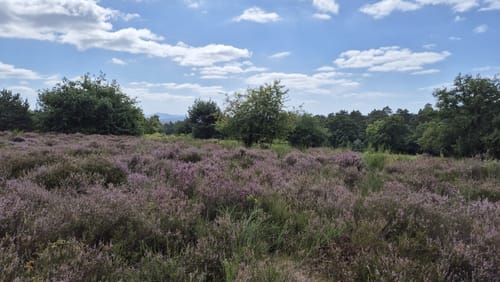 Wahner Heide - Burg Wissem